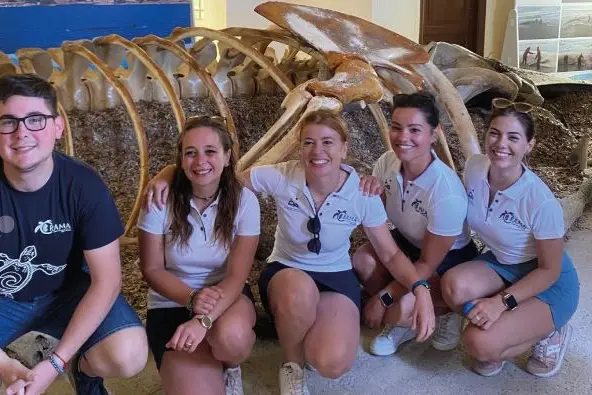 Lo scheletro della balena all'Asinara (foto concessa)