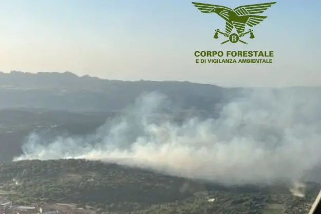 Uno degli incendi divampati in Sardegna martedì 3 giugno (foto Corpo forestale)