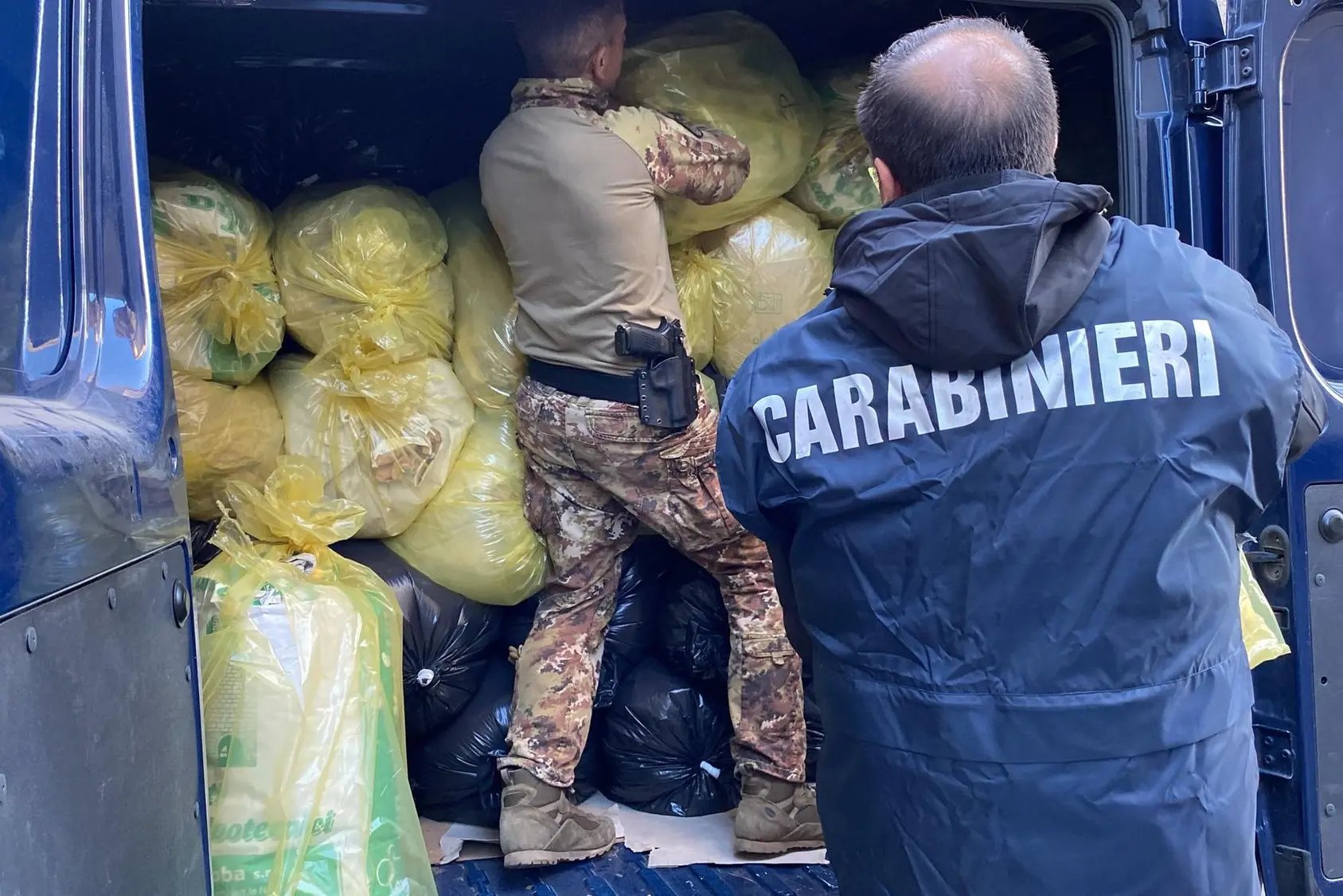 Un maxi sequestro di marijuana a Sarule