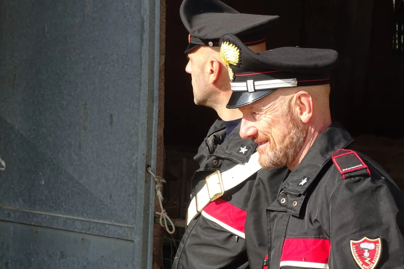 Indagini dei carabinieri